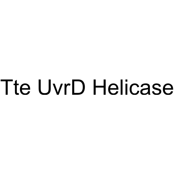 Tte UvrD Helicase